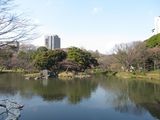 20120130.jpg