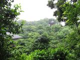 Chinzan6902.jpg