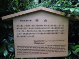 Chinzan6922.jpg