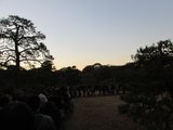 IMG_1376.jpg