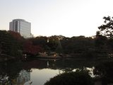 IMG_1397.jpg