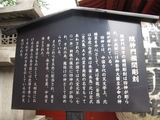 IMG_3407.jpg