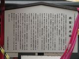 IMG_3424.jpg