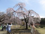 IMG_6487.jpg