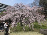 IMG_6494.jpg
