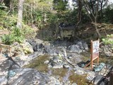 IMG_6517.jpg
