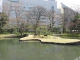 IMG_6523.jpg