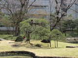 IMG_6525.jpg