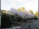 IMG_6646.JPG