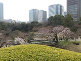 IMG_9617.jpg